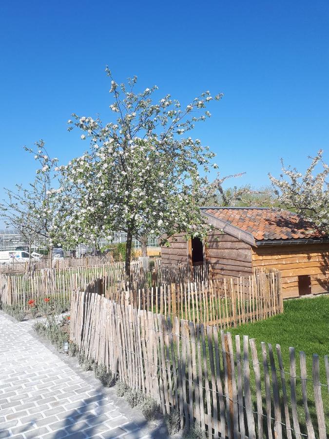 Bed and Breakfast De Bonderbei Wellen Екстер'єр фото
